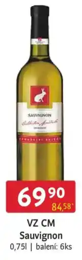 Qanto VZ CM Sauvignon nabídka