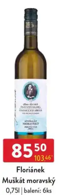 Qanto Floriánek Muškát moravský nabídka