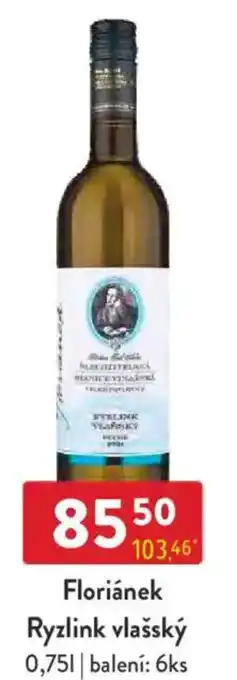 Qanto Floriánek Ryzlink vlašský nabídka