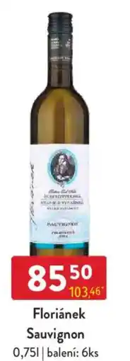 Qanto Floriánek Sauvignon nabídka