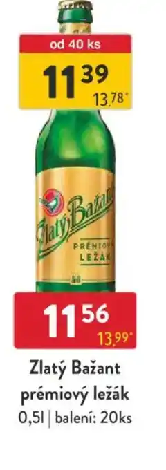 Qanto Zlatý Bažant prémiový ležák nabídka
