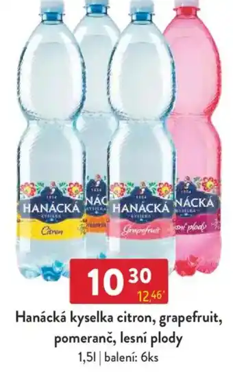 Qanto Hanácká kyselka citron, grapefruit, pomeranč, lesní plody nabídka
