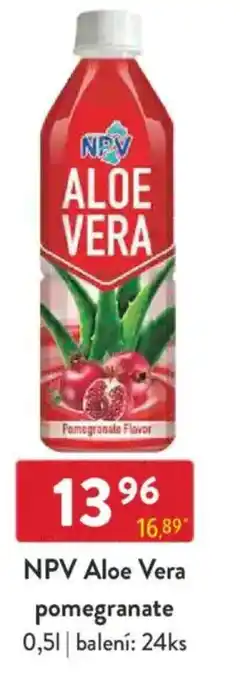 Qanto NPV Aloe Vera pomegranate nabídka
