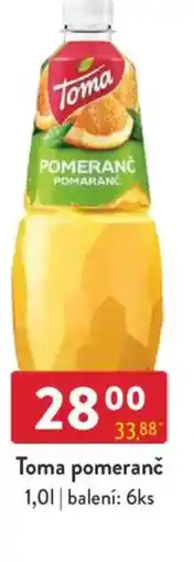 Qanto Toma pomeranč nabídka