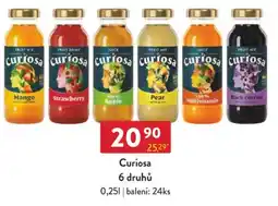 Qanto Curiosa 6 druhů nabídka