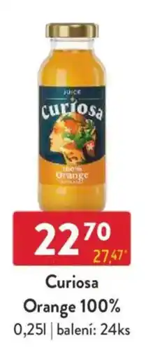 Qanto Curiosa Orange 100% nabídka