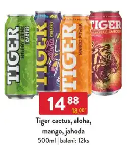 Qanto Tiger cactus, aloha, mango, jahoda nabídka