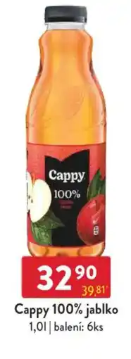 Qanto Cappy 100% jablko nabídka