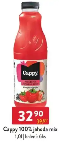 Qanto Cappy 100% jahoda mix nabídka