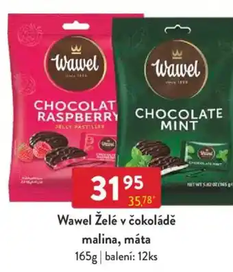 Qanto Wawel Želé v čokoládě malina, máta nabídka
