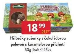 Qanto Hříbečky sušenky s čokoládovou polevou s karamelovou příchutí nabídka