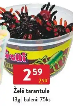 Qanto Želé tarantule nabídka