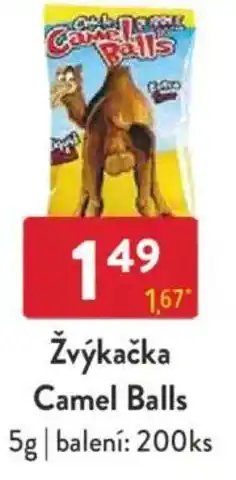 Qanto Žvýkačka Camel Balls nabídka