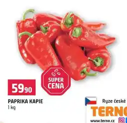 Terno Paprika kapie nabídka