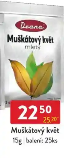 Qanto Deana Muškátový květ nabídka