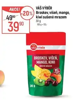 Globus VÁŠ VÝBĚR Broskev, višeň, mango, kiwi sušené mrazem nabídka