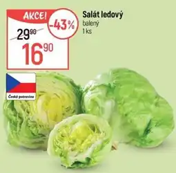 Globus Salát ledový nabídka