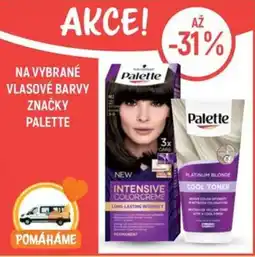 Globus Na vybrané vlasové barvy značky palette nabídka