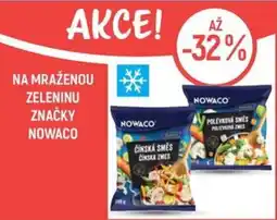 Globus Na mraženou zeleninu značky nowaco nabídka