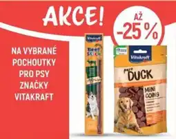 Globus Na vybrané pochoutky pro psy značky vitakraft nabídka