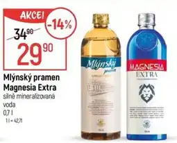 Globus Mlynský pramen Magnesia Extra nabídka