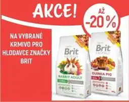 Globus Na vybrané krmivo pro hlodavce značky brit nabídka