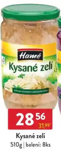 Qanto Hamé Kysané zelí nabídka