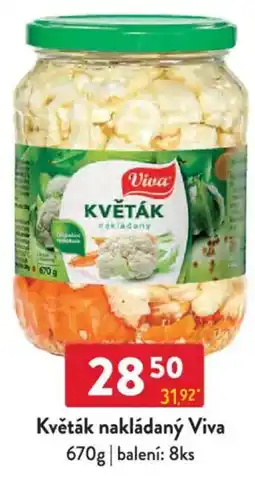 Qanto Květák nakládaný Viva nabídka