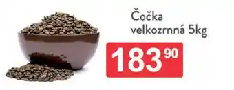 Qanto Čočka velkozrnná nabídka