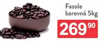 Qanto Fazole barevná nabídka
