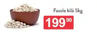 Qanto Fazole bílá nabídka