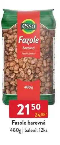 Qanto Essa Fazole barevná nabídka