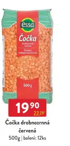Qanto Essa Čočka drobnozrnná červená nabídka