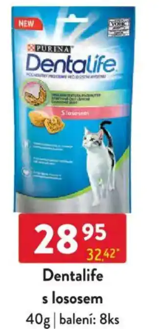 Qanto Dentalife s lososem nabídka