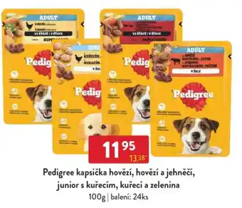 Qanto Pedigree kapsička hovězí, hovězí a jehněčí, junior s kuřecím, kuřecí a zelenina nabídka