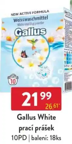 Qanto Gallus White prací prášek 10PD nabídka