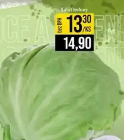 Jip Salát ledový nabídka