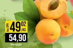 Jip Meruňka nabídka