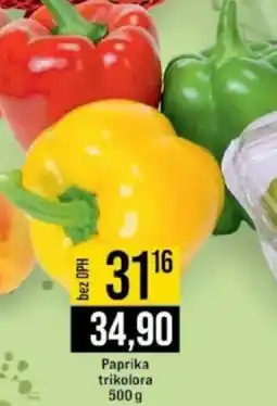 Jip Paprika trikolora nabídka