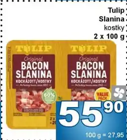 Jip Tulip Slanina nabídka
