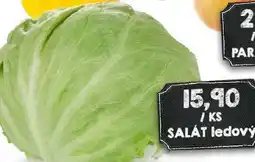 Jip Salát ledový nabídka