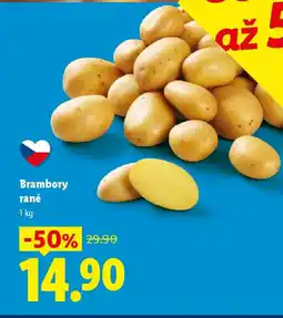 Lidl Brambory rané nabídka