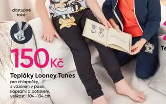Tepláky Looney Tunes