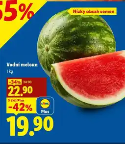 Lidl Vodní meloun nabídka