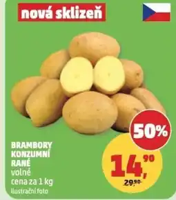 Penny Market Brambory konzumní rané nabídka