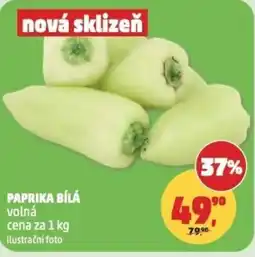 Penny Market Paprika bílá nabídka