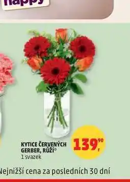 Penny Market KYTICE ČERVENÝCH GERBER, RŮŽÍ 1 svazek nabídka