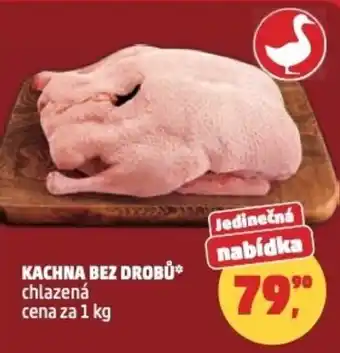 Penny Market Kachna bez drobů nabídka