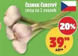 Penny Market Česnek čerstvý nabídka
