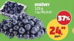 Penny Market Borůvky nabídka